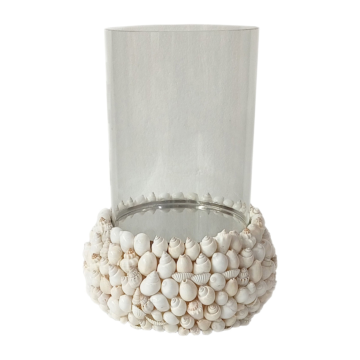 Shell 11" Hurricane - White