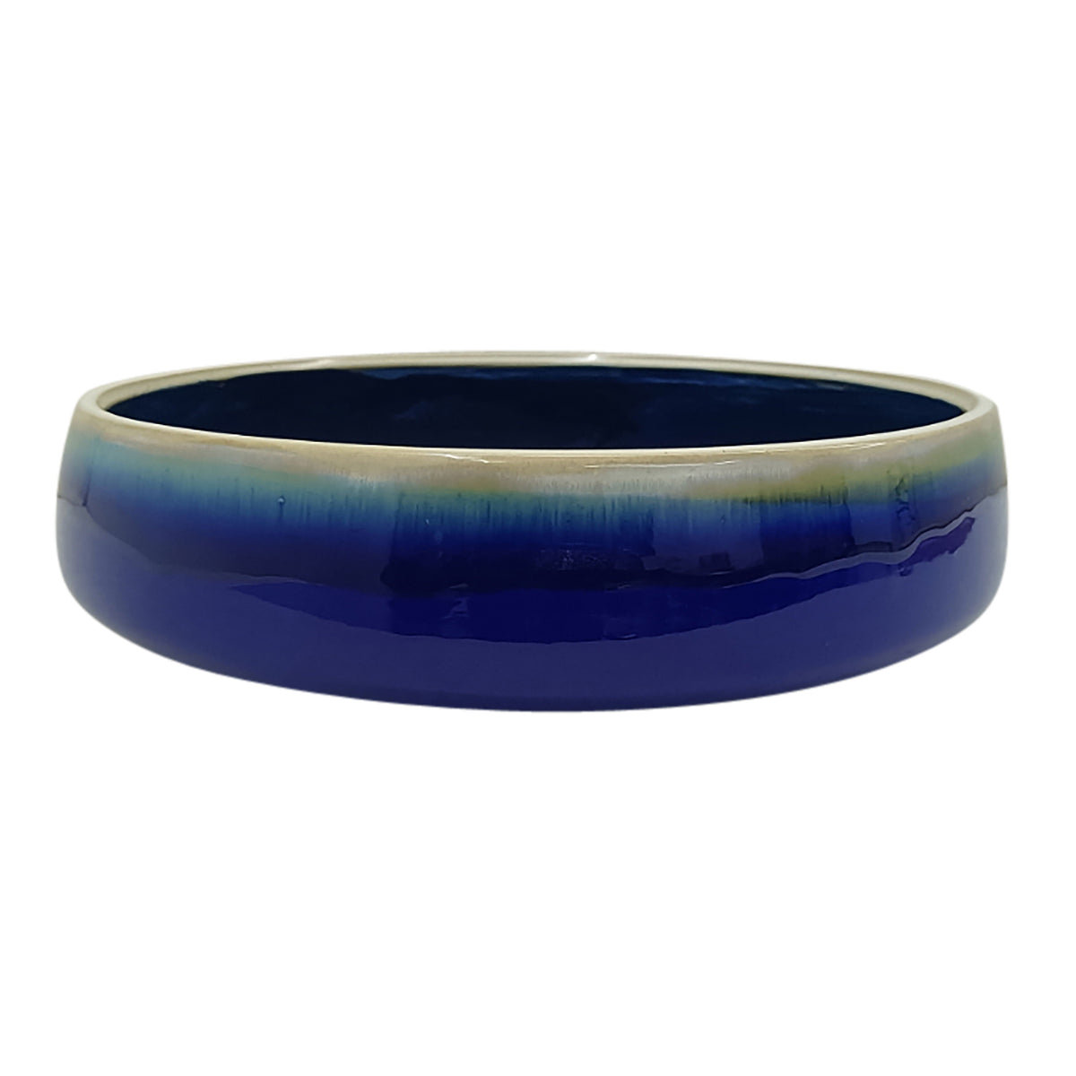 15" Reactive Succulent Planter Bowl - Blue/White
