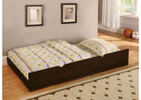 FM-TR452-ES Omnus Trundle
