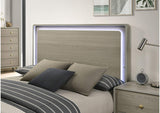 FM72002GY-Q-BED Rainier Queen Bed