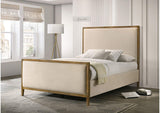 FM72009NT-CONF Key Bed