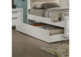 Lareina Trundle