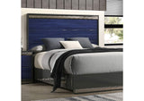 Hartlepool Bed