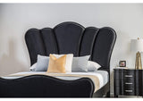 FM7416BK-Q-BED Melodi Parc Queen Bed