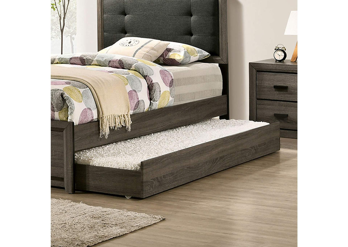 Roanne Trundle