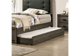 Roanne Trundle
