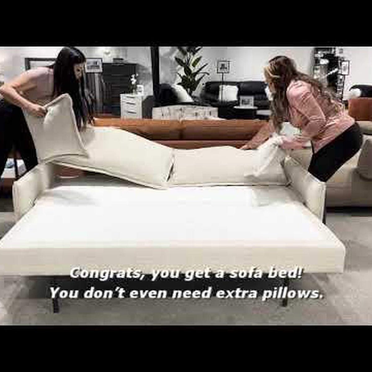 LV03810 Elisea Sofa with Sleeper