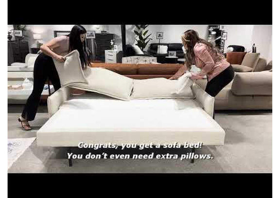 LV03810 Elisea Sofa with Sleeper