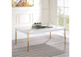 LV00034 Otrac Coffee Table