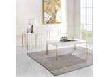 LV00034 Otrac Coffee Table