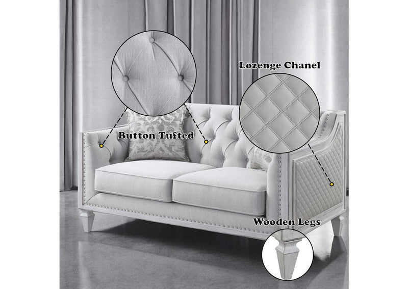 LV01050 Katia Loveseat with 2 Pillows