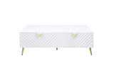 LV01139 Gaines Coffee Table