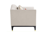 LV01157 Tayden Chair with 2 Pillows