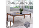 LV02645 Bevis Coffee Table