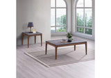 LV02646 Bevis End Table