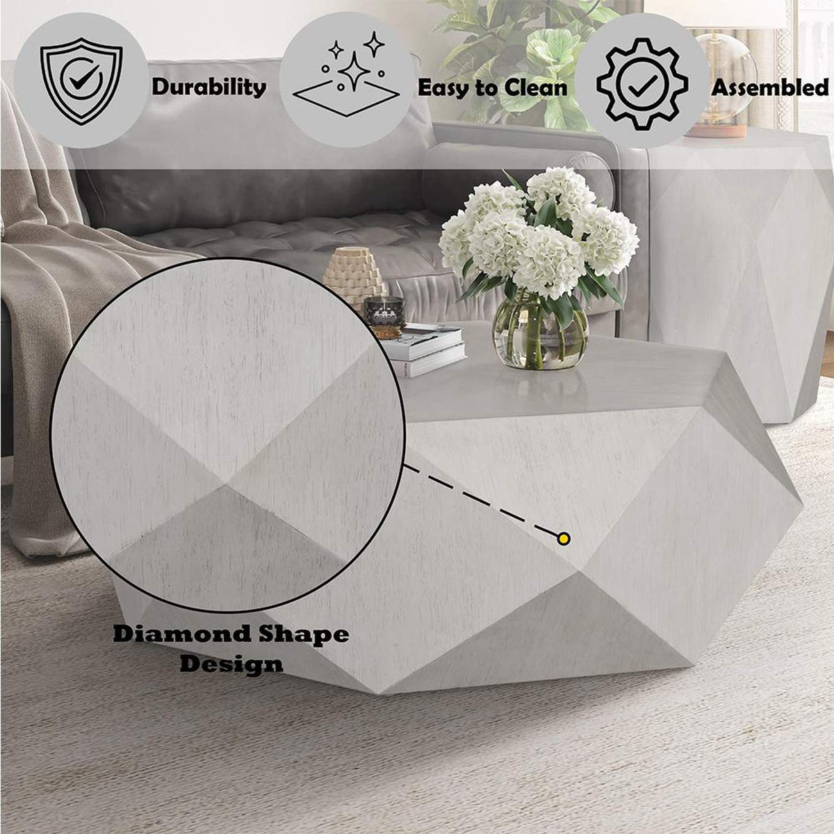 LV02765 Hanniel Coffee Table