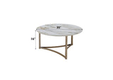 LV02825 Zaidee Coffee Table