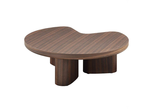 LV03755 Yoab Coffee Table