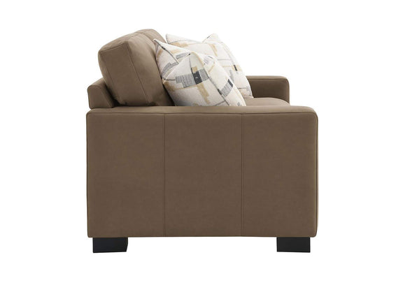 LV04531 Darya Loveseat with 3 Pillows