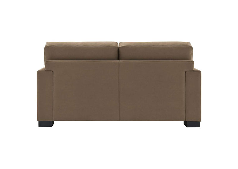 LV04531 Darya Loveseat with 3 Pillows