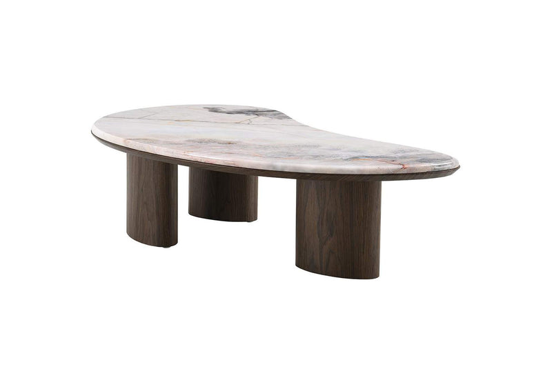 LV04575 Hanale Coffee Table with Natural Marble