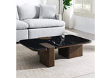LV04595 Dana Coffee Table with Natural Marble