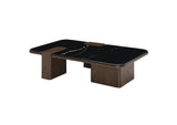 LV04595 Dana Coffee Table with Natural Marble