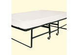 MT-ROLL-30 Framos