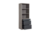 OF00630 Estevon Bookcase