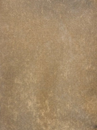 Pattern Sonora Color Pearl
