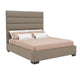 Volcanic Bed