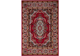 RG5170 Shinta Area Rug