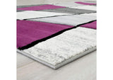 RG5224 Niksar Area Rug