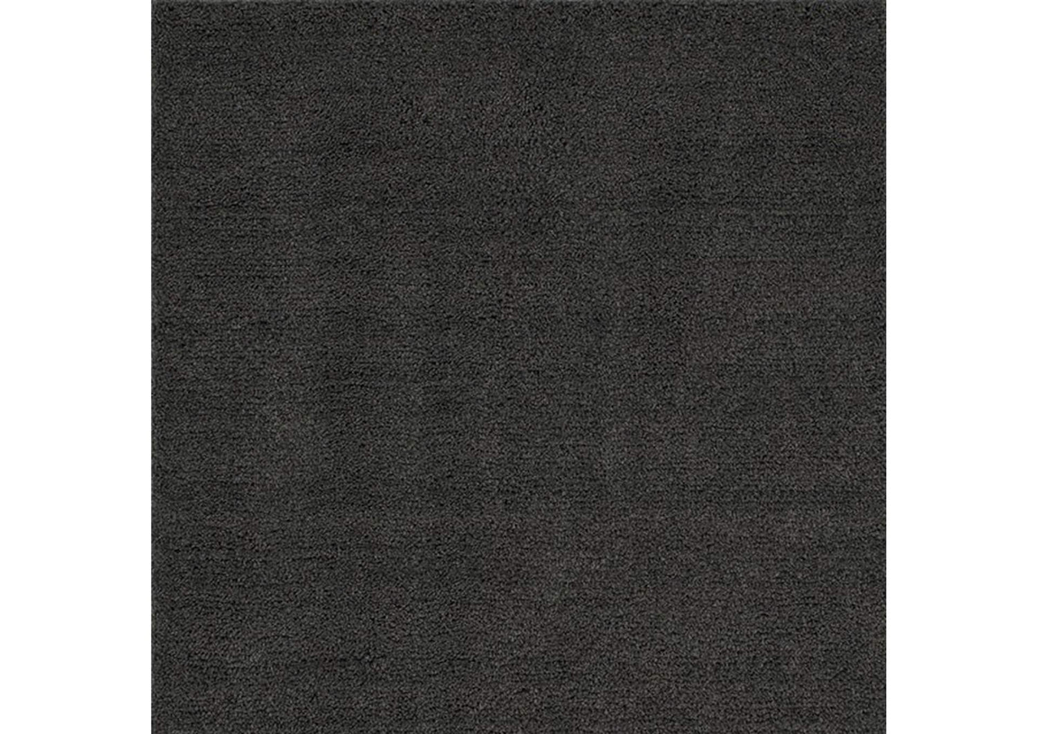Camara Area Rug