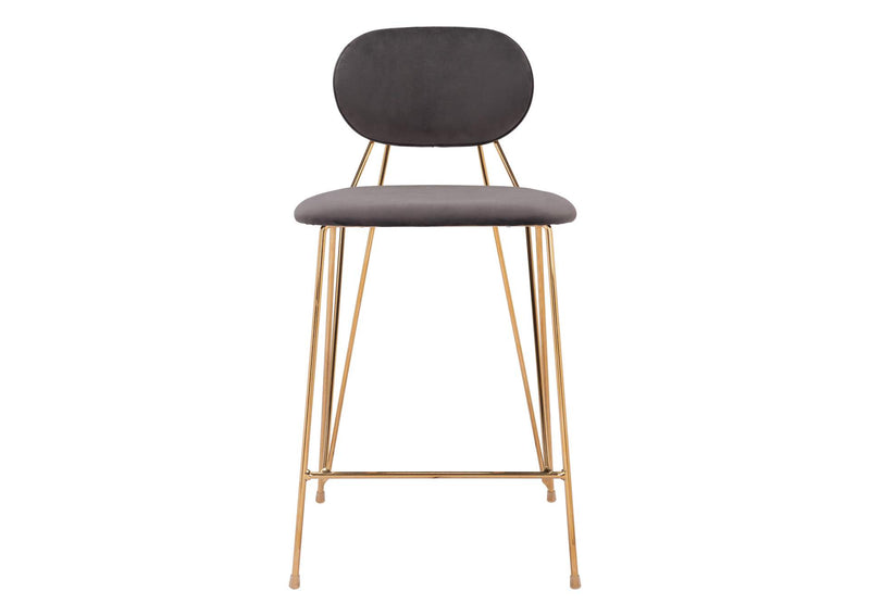 109662 Georges Counter Stool (Set Of 2) Gray & Gold