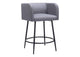 110065 Horbat Counter Stool (Set Of 2) Gray
