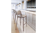 101286 Ace Barstool (Set Of 2) Brown & Walnut