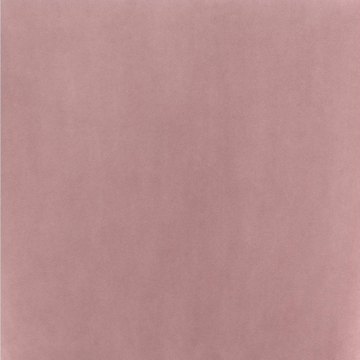 101101 Tolivere Dining Chair (Set Of 2) Pink