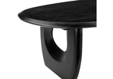 110224 Arasan Coffee Table Black