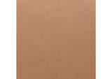 110127 Ayr Dining Chair (Set Of 2) Tan