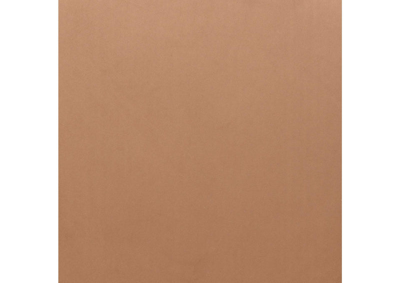 110127 Ayr Dining Chair (Set Of 2) Tan