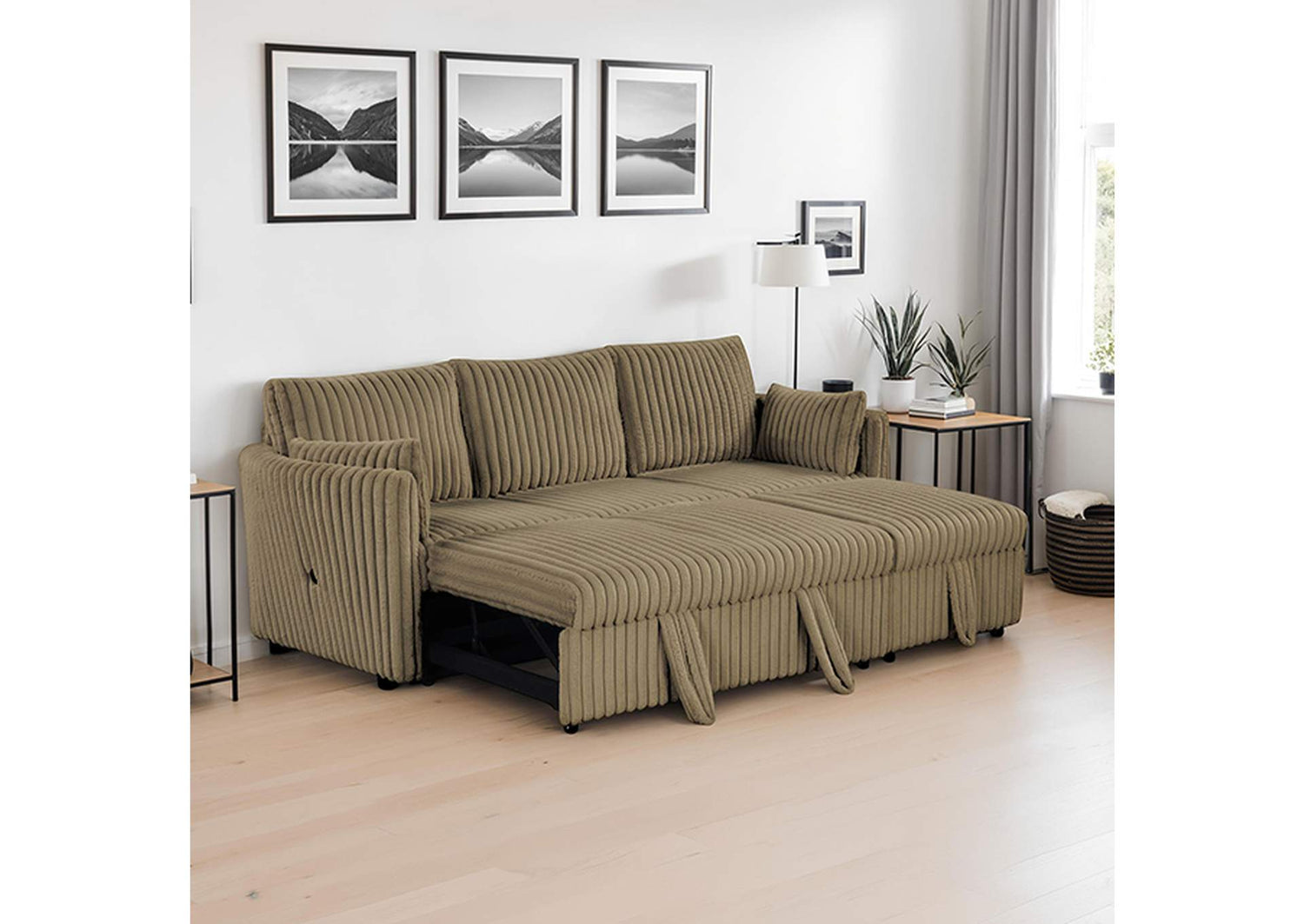 Denholme Sectional w/ Pull Out
