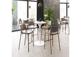 101286 Ace Barstool (Set Of 2) Brown & Walnut