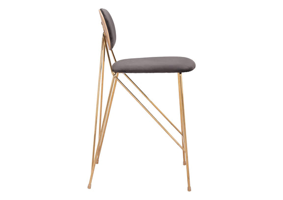109662 Georges Counter Stool (Set Of 2) Gray & Gold